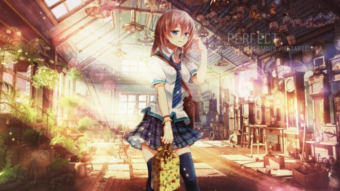 为什么 Blender 成功了？